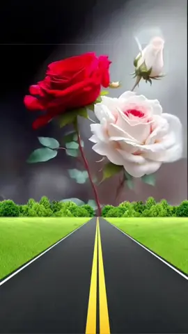 صباح الخير#