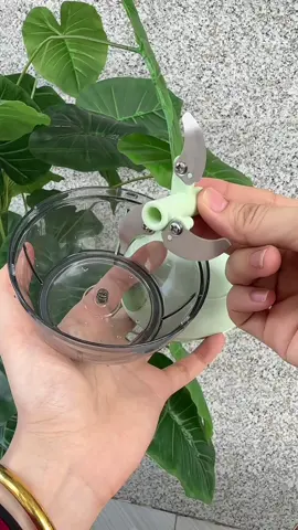 Cối xay tỏi ớt , rau củ quả nhỏ gọn tiện dụng #coixaytoiot #mayxaymini #mayxaytoiot #mayxaydanang 