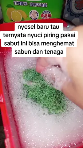 sabut jala cuci piring #sabutjala #sabutjalanylon 