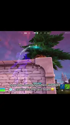 i guess my user is proyapper for a reason😝 #fortnite #zerobuild #blitz #fortnitegirlies 