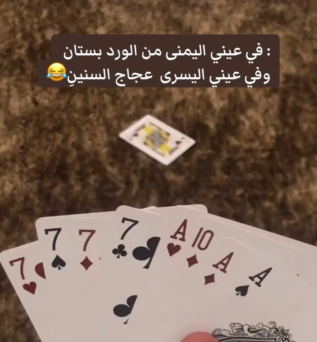 #كبوت #لايك_متابعه_اكسبلور #بيلوت 