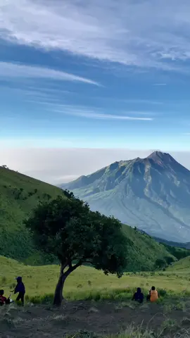 merbabu😍 #merbabuviasuwanting #merbabu #view #sabana #merbabuview 