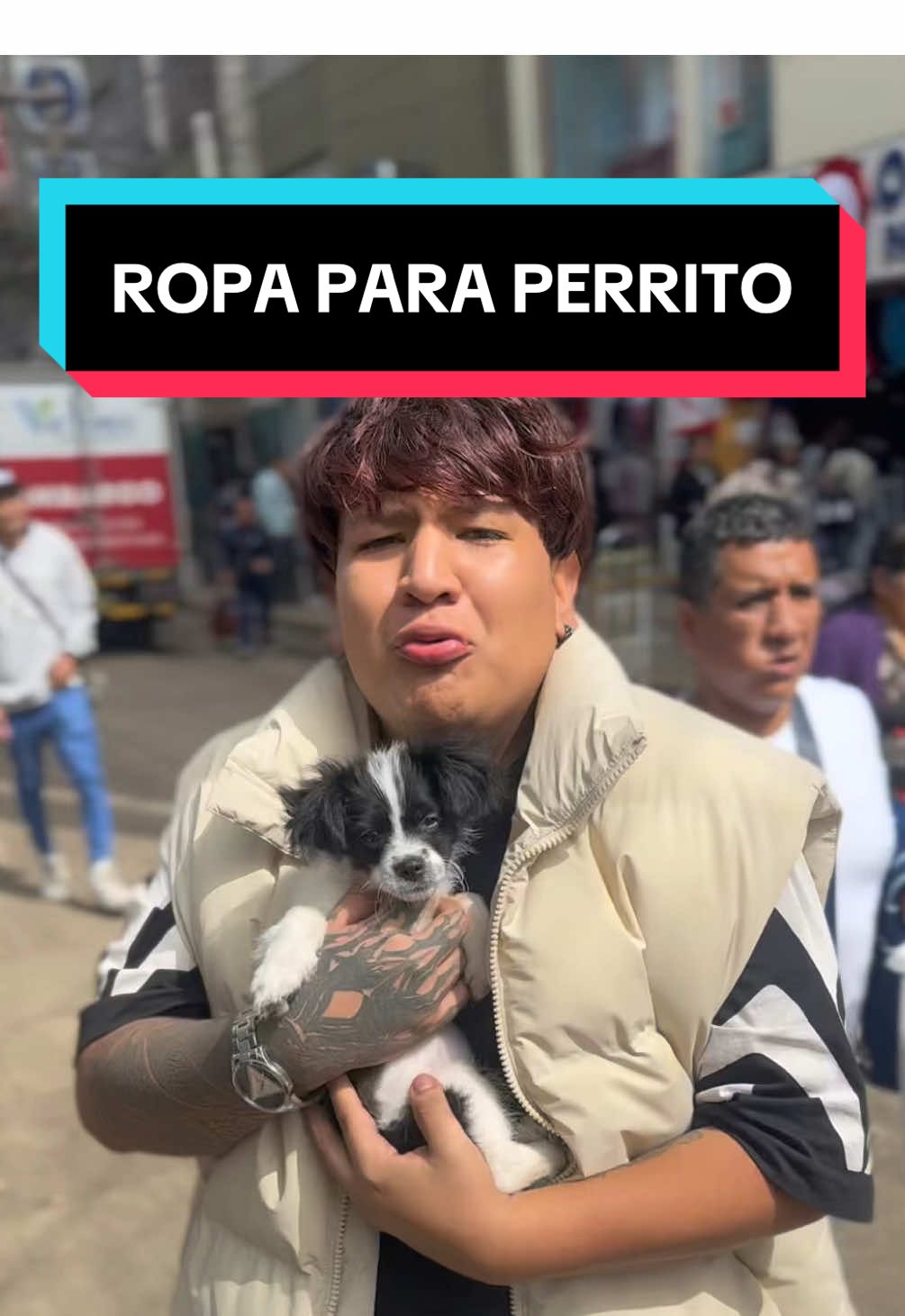 Estos son los fabricantes de chompitas para perros más elegantes de gamarra @Dog&Cat_pet 🔥🔥 #fyp #lima #gamarra 