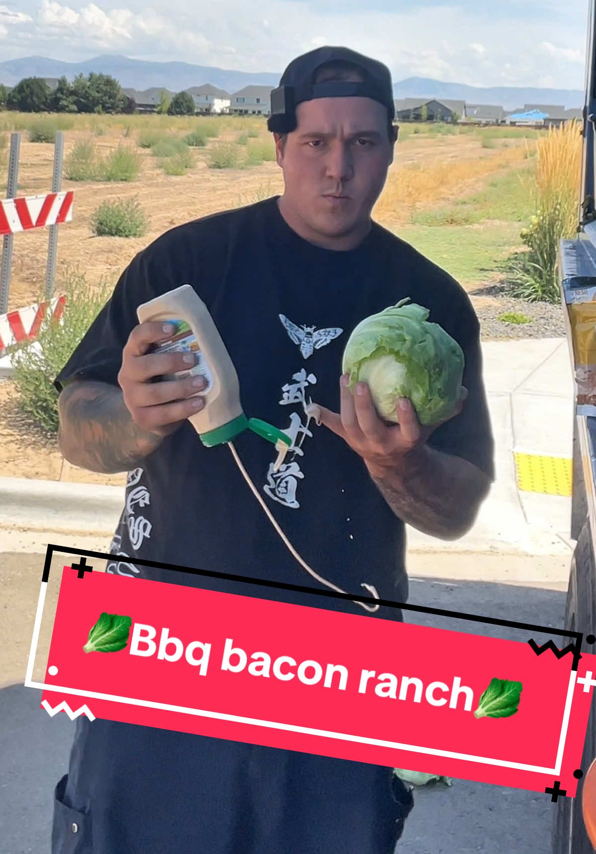 Bbq bacon ranch!!🥬#bluecollar #boydinner #trashsalad #bringbackboydinner 
