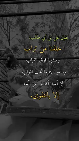 خلقنا من تراب#همس_الوفــَّــــآء #اكسبلورexplore #اعادة_النشر🔃 