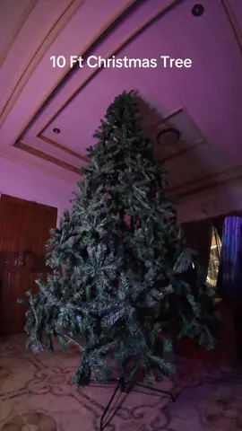 Bumili kana ng Christmas tree habang mura pa! #christmastree #christmastiktok #christmas #christmastrees #chirstmastreedecorating 