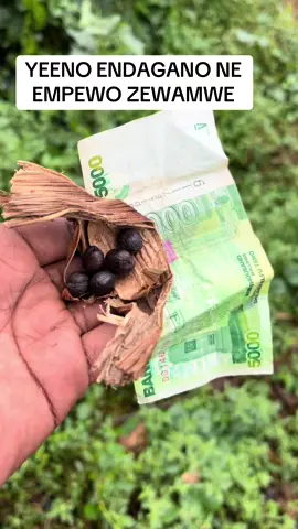 Kola bina wamanga;#vairal #treandingvideos #views #mulongobabiryesarah #southafrica🇿🇦 #canada_life🇨🇦 #usa_tiktok #canada_life #unitedkingdom 