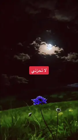 #اللهم_انك_عفو_تحب_العفو_فاعف_عنا #لايك_متابعه_اكسبلور_ #فضلاً_وليس_امراً_💙_🌹 #fyp #tiktok #L 