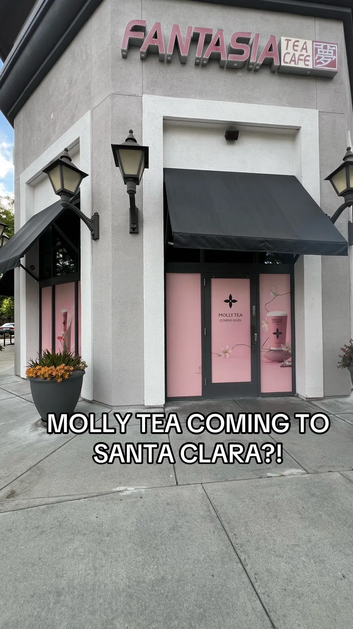 molly tea is my favorite boba-less boba place in the bay area 🥹 so excited 