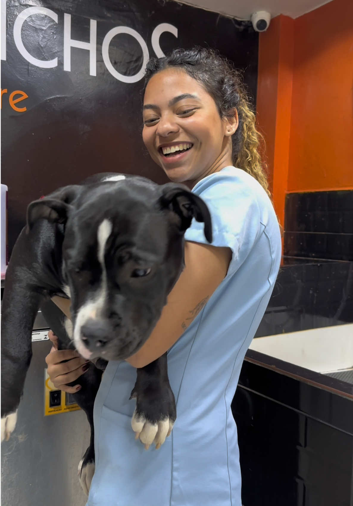 A reação da dona..❤️ @Romeo Augusto  @estercarv4lh0 @BsBichos #cachorro #foryoupage #fyp 