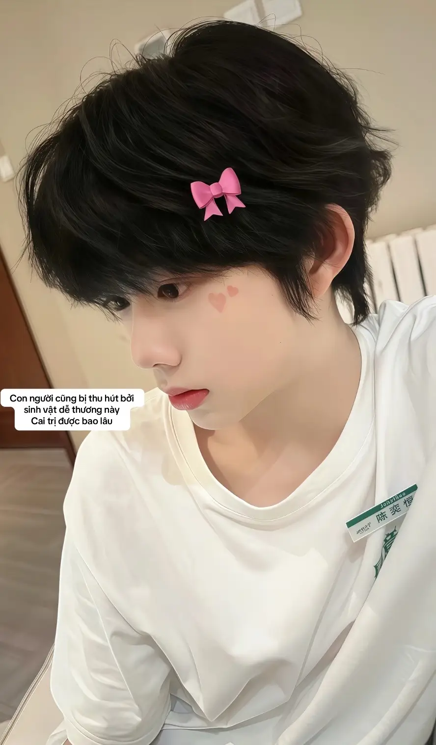 #chenyiheng #trandichhang #chenyiheng_陈奕恒 #tfgiatộc #đạicamẫugiáo👻 #fyp 