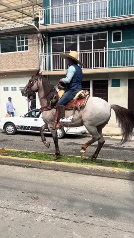 #caballos #caballosbailadores #chulada #edenmuñoz 