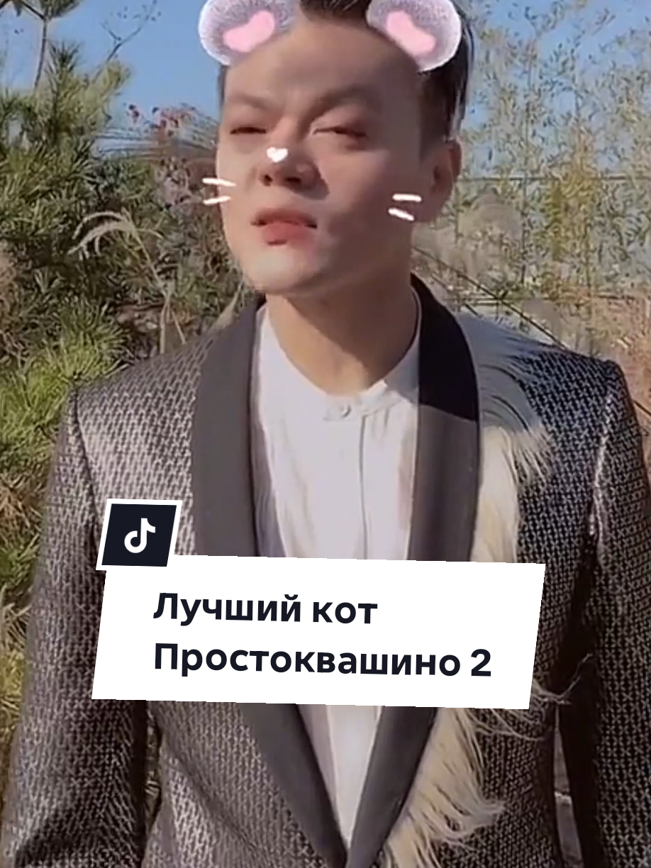 Этот кот ещё и вышивать может...и на машинке тоже...😄 #озвучкастрэйкидс #straykids #skz #stay #leeknow #hanjisung #bangchan #линоу #минхо #ханджисон #банчан 