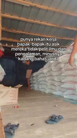 #PEMUDA #PETERNAK #AYAM #BROILER ##