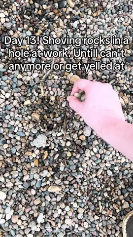 Day 13! #day13 #rock #trending #hole #wall #rocks #pebble #dirt #hand #dogs #work #trend #worklife #secret 