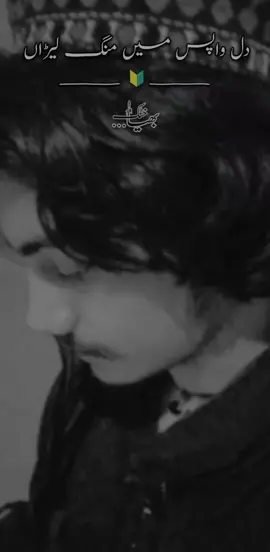 دل واپس میں منگ لیڑاں 💔🥀 @JABBAR_KHATTAK 