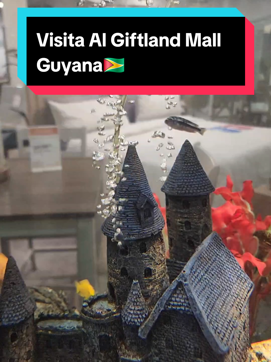 Para Todosos Cubanos en Guyana, visité uno de mis Lugares Faviritos en Guyana: El Giftland Mall... les invito a ver el video y sobre todo a que visiten el Lugar.. Saludos.#cubaguyana🇨🇺🇬🇾 #cubanosenguyana🇨🇺🇬🇾 #guyana🇬🇾 #cuba #giftlandmall🇬🇾 