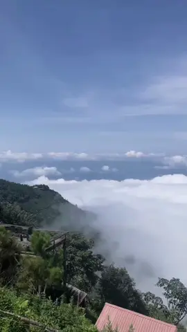 May về bản 29/07/2025 #viral #homestaytaxua #taxua #hit #vir #hot ##viraltiktok 