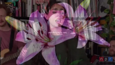 is it too much to ask? 🌺 #fypシ #samia #pool #tinydesk #npr 