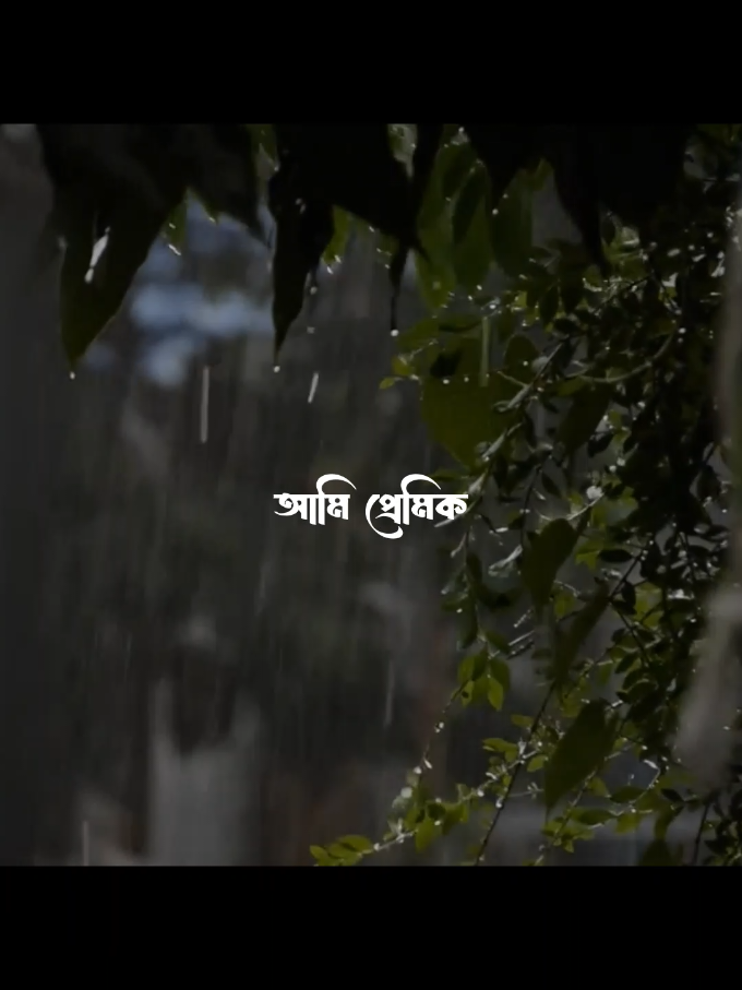 Pera nai chill.. 😩💝  #foryoupage #trending #bd_lyrics_society #foryou #viral #fyp #lyrics_songs @TikTok Bangladesh 