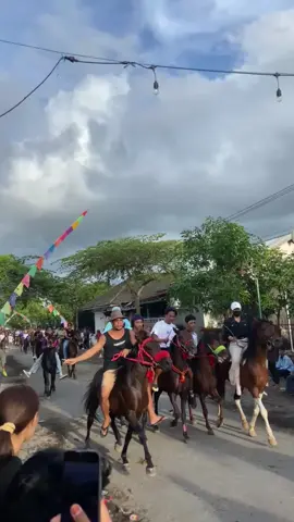 kuda gagah#Sanggili🐴