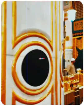 Rab Aap Bana K Lutya Gya 🌸❤️ #صلی_اللہ_علیه_وآله_وسلم  #naat #haniaaesthetic 
