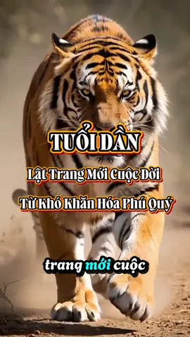 Tuổi Dần - Từ khó khăn hoá phú quý #phucsinhphuquy #xh #12congiap #xuhoamaikimtien #tuoidan 