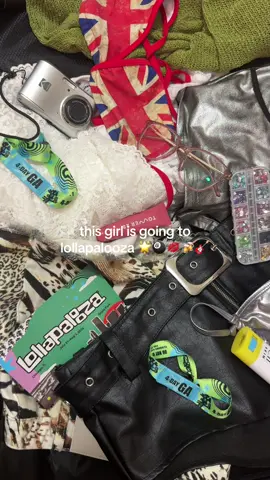 finally packed and ready for lolla ⋆｡♪ ₊˚♬ﾟ. #lollapalooza #omw #needadrink 