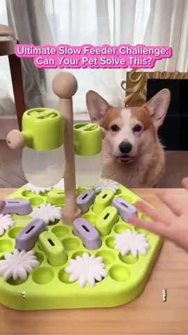 Ultimate Slow Feeder Challenge: Can Your Pet Solve This?  #CapCut #SlowFeederBowls #PetASMR #DogPuzzleToys #PetFoodPrep #SatisfyingPets