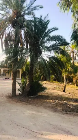 منو يتذكر هذا البيت ؟ . . . . .  . . . . . . .  #الجنة_و_النار #بيت_هاشم #مشاهير_تيك_توك #اعادة_النشر🔃 #تيك_توك_اطول #Viral #fyp #سوق_الشيوخ #اللهم_عجل_لوليك_الفرج #لايك__explore___ #صوري #ياعلي_مدد #ياعلي_مولا_عَلَيہِ_السّلام #لايك #tik #tok #1millionaudition #هاشتاق #صعدو_الفيديو #تيك_توك #العراق #قطر #علي #الجنة_و_النار #الجنة_والنار #مشاهدات #استوري #انستكرام #ذكرتني # ##فلاش_باك ‏#tiktoklong ‏#Viral ‏#foryoupage ‏#typ #tik #tok ‏#_j213 #explore #جهاد_برواري ##العراق #viral #viralvideo #تعلم_على_التيك_توك