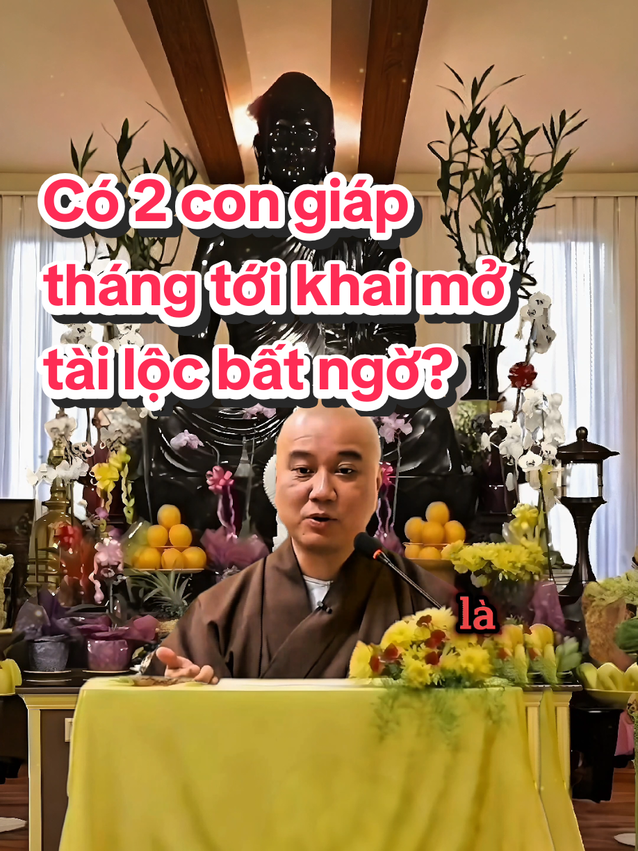 Có 2 con giáp từ tháng này tới tháng Chín âm lịch có thể lật lại vận mệnh, đổi đời chỉ trong một khoảnh khắc. Tiền bạc bất ngờ kéo tới, nợ cũ hóa không, đường sống tưởng bế tắc lại mở ra một lối khác. Không phải vì con tài giỏi hơn người, mà vì vận đã đến, trời đã mở cho người hữu duyên. #12congiap #mayman #labode12congiap #tuvi #phongthuy #labodemavang #labodetuoity 