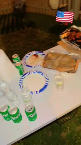 BBQ 🍗 in USA 🇺🇸🫶🏻🤟🏻#foryou #treandingvideo #newtrend #24hourschallenge #viraltiktok #no1_trending 