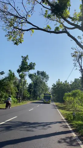 Sinarengan x baby bos #sinarengan #ngoyodbus  @Wildann_rajinn_ngoyodd  njilih sound kang