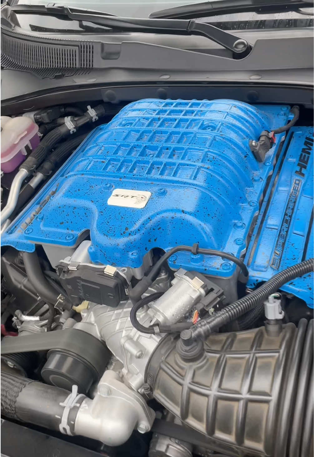 #srt #hemi #v8 #scatpack #carsoftiktok #musclecar #cars #dodgecharger #345jerm  #challenger #hellcat 