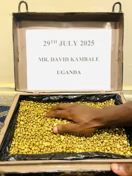 🌍 GOLD FOR SALE – CONGO ORIGIN | READY IN UGANDA 🌍 ✨ Trusted Seller | High Purity | CIF Terms We supply authentic gold from the D.R. Congo, securely stored in Kampala, Uganda — ready for export. 🔹 Product Specs: • Purity: 97.8% (23+ Carats) • Form: Nuggets & Bars • Origin: D.R. Congo • Location: Kampala, Uganda • Available: 150 KGs Total • Trial: 5 KG minimum for new buyers 🚢 Terms: • Incoterm: CIF (Cost, Insurance & Freight) • Payment: After final refinery assay ⚠️ Conditions: • No local sales • Mandatory physical inspection in Uganda • Only serious buyers will be entertained 📞 WhatsApp: +243 855 759 417 📩 DM now for full procedure & trial deal! #GoldForSale #CongoGold #UgandaGold #SeriousBuyersOnly #GoldExport #GoldBusiness #cifterms 
