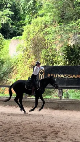 telat dikit tapi mau ikutan #pacujalur  #horse #equestrian #horseriding 