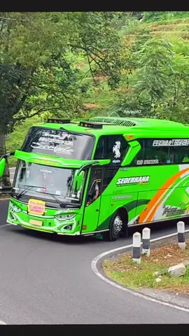 SEDERHANA TAPI ISTIMEWA @Sederhana Mulya Trans #kelok8tawangmangu #videobus #tawangmangu #basuri #sederhanatrans #sederhanamulyatrans #sederhanasomple 