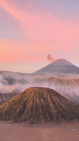 Surga kecil yang ada di Indonesia Jawa Timur Probolinggo Bromo more than Volcano Let's join us For more information pm me #pakejbromo #bromotour #travelbromo #bromoguide #pakejbromomurah #bromotourguide #bromopedia