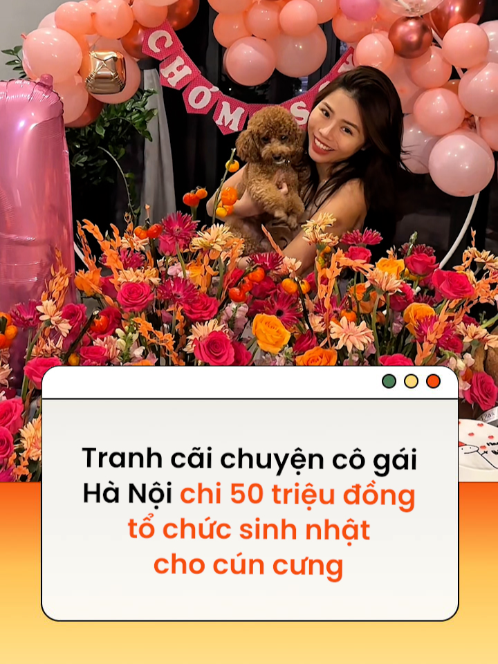 Bỏ 50 triệu đồng tổ chức tiệc sinh nhật cho cún cưng với phụ kiện hàng hiệu và dịch vụ trang trí sang trọng #cuncung #hanoi #tiktokgiaitri #amm