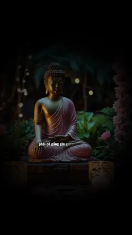 Hạnh Phúc hay không là do mình chứ không phải do người khác.. #tutam #phatphapnhiemmau 