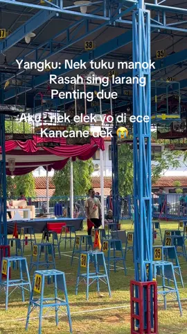 Elek bor ke 😭#kenari #vypシ✌️❤️ #viral 