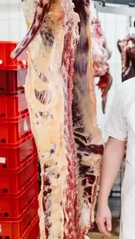 Ein Ex-Veganer spricht Klartext: Gesundheit, Mangel, Realität. #Erfahrung #Ernährung #Klartext #ExVegan
