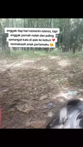 MasyaAllah #petanikaret #petanikaretindonesia #petani #karet #nderes