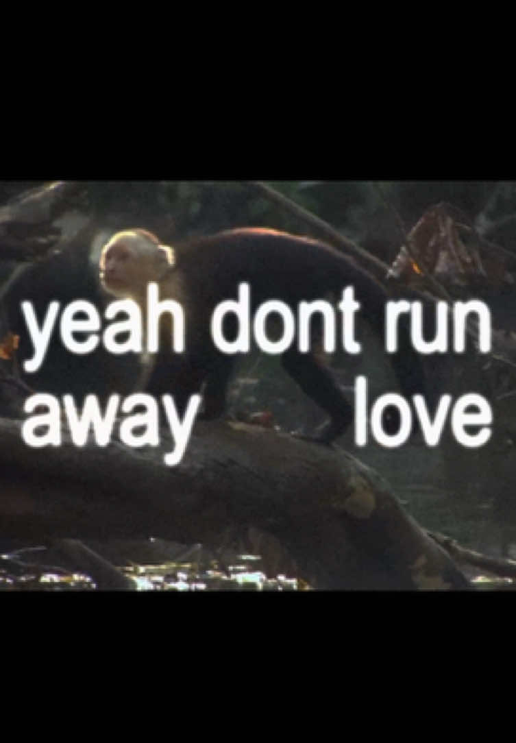 woods  #macmiller #song #lyrics #edit #music #monkey #fyp 