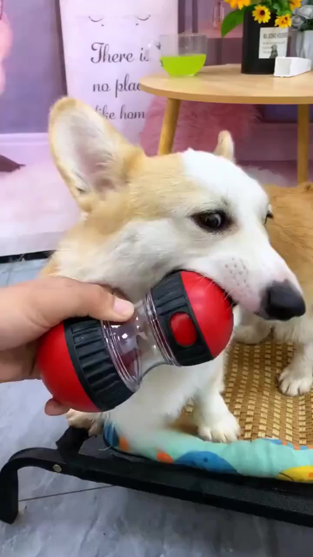 Interactive Dog Treat Ball Slow Feeder Toy for Large Dogs Durable Rolling Dispenser for Mental Stimulation and Boredom Relief Helps Prevent Destructive Behavior #petproducts #dogtoy #dogproducts #dogtoys #interactivedogtoy #dogtoyreview #smartpettoy #dogchewtoy #puppytoys #potaromadogpuzzletoy