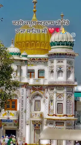 Raja sahib ji sab ty mehar kario 🙏🙏🙏🙏🙏🌸❤️🥰