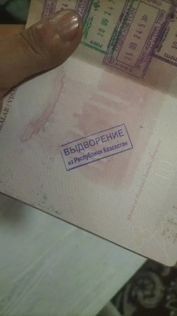 #рекомендации 