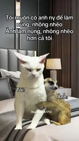 #xuhuong #meow #videoviral #fyp #xuhuongtiktok #xuhướng #nguoiyeu #meo #vuinhon #ebexamcuk1712 #gian #ebexamcuk 