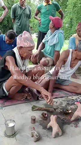 #Bardiya Bhurigaun ma Hareripuja2082/4/13 gate.#@Ramesh Bibash #@umeshtharu967 #@Rupesh 🥰 Chy🥀❤️ #@Aakash sky🇳🇵 #@Ajaya chy #@Amit Chaudhary 