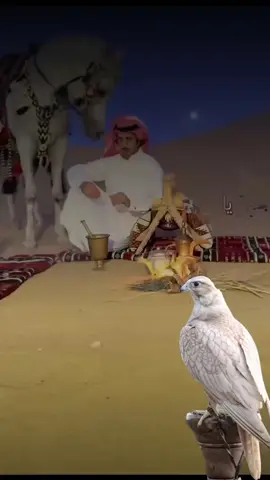‏#دويتو مع @الحر #أكسبلور_شعر_حكم_خواطر 